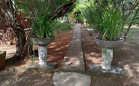 Suduweli Beauties Of Nature - Yala