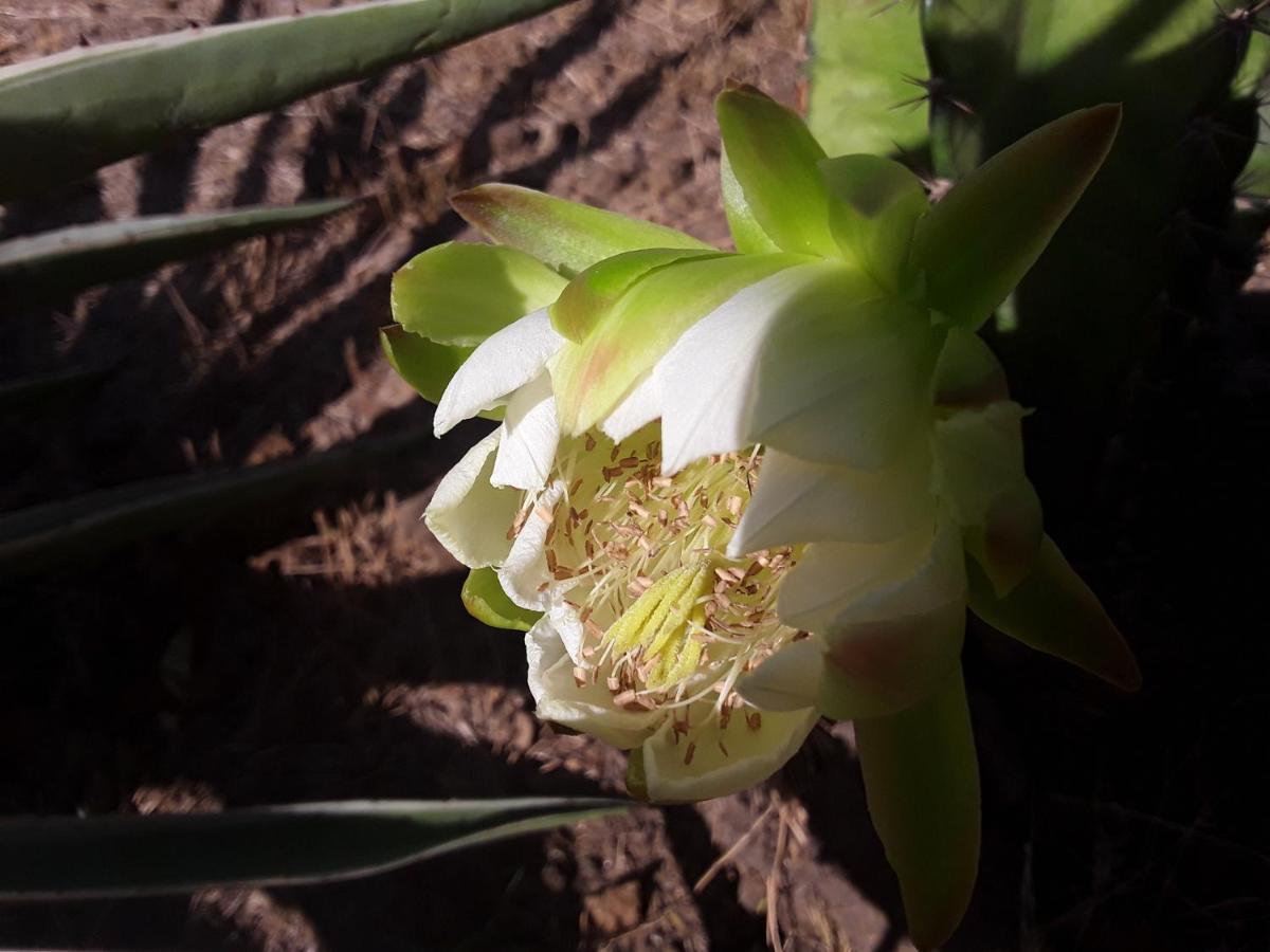 Suduweli Beauties Of Nature - Yala Kirinda  Exterior photo