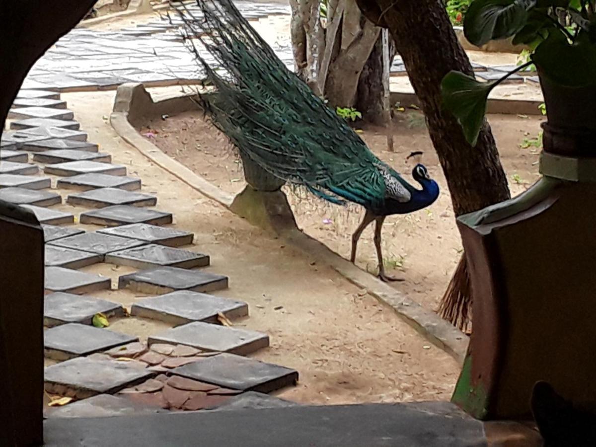 Suduweli Beauties Of Nature - Yala Kirinda  Exterior photo
