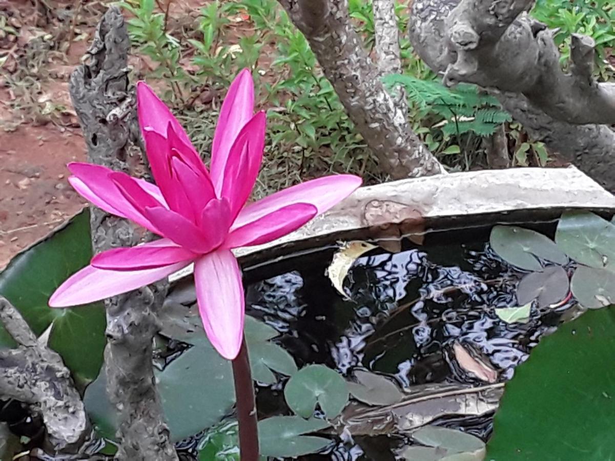 Suduweli Beauties Of Nature - Yala Kirinda  Exterior photo