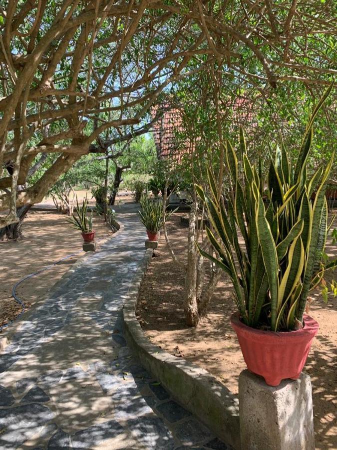 Suduweli Beauties Of Nature - Yala Kirinda  Exterior photo