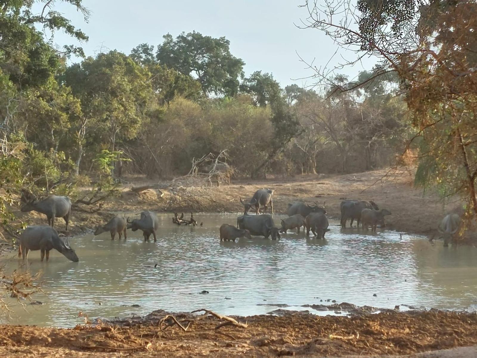 Suduweli Beauties Of Nature - Yala Kirinda  Exterior photo