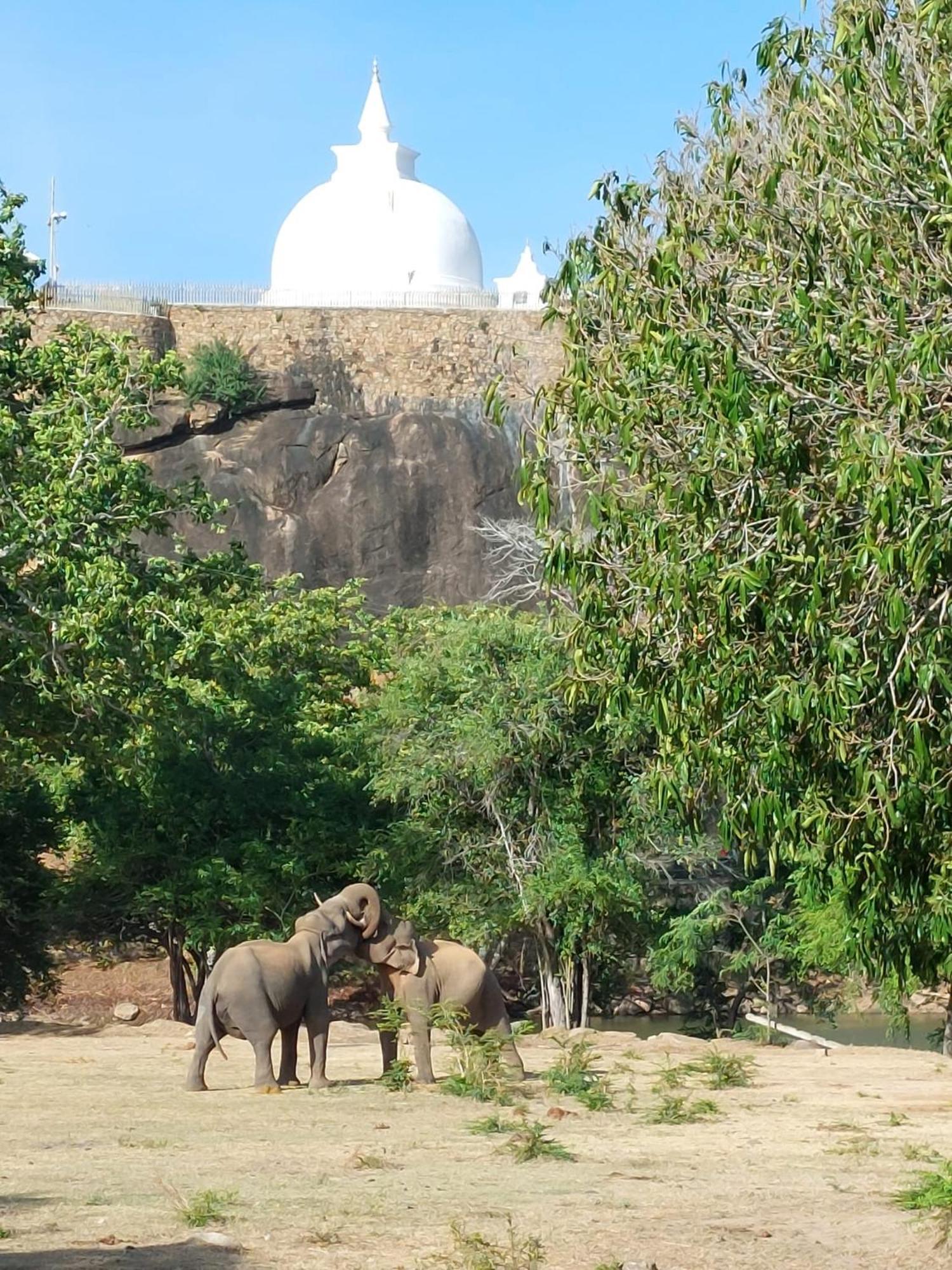 Suduweli Beauties Of Nature - Yala Kirinda  Exterior photo