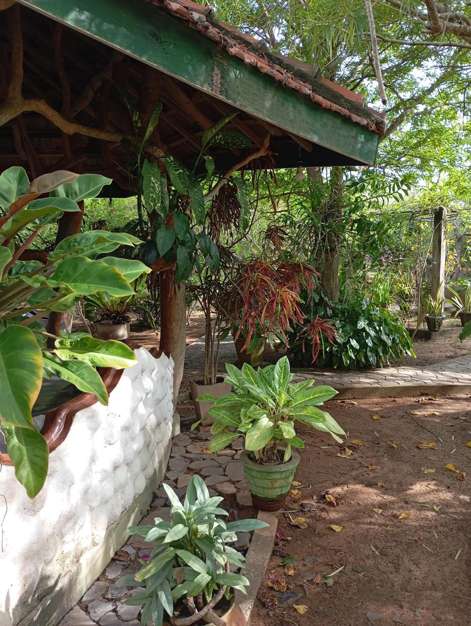 Suduweli Beauties Of Nature - Yala Kirinda  Exterior photo