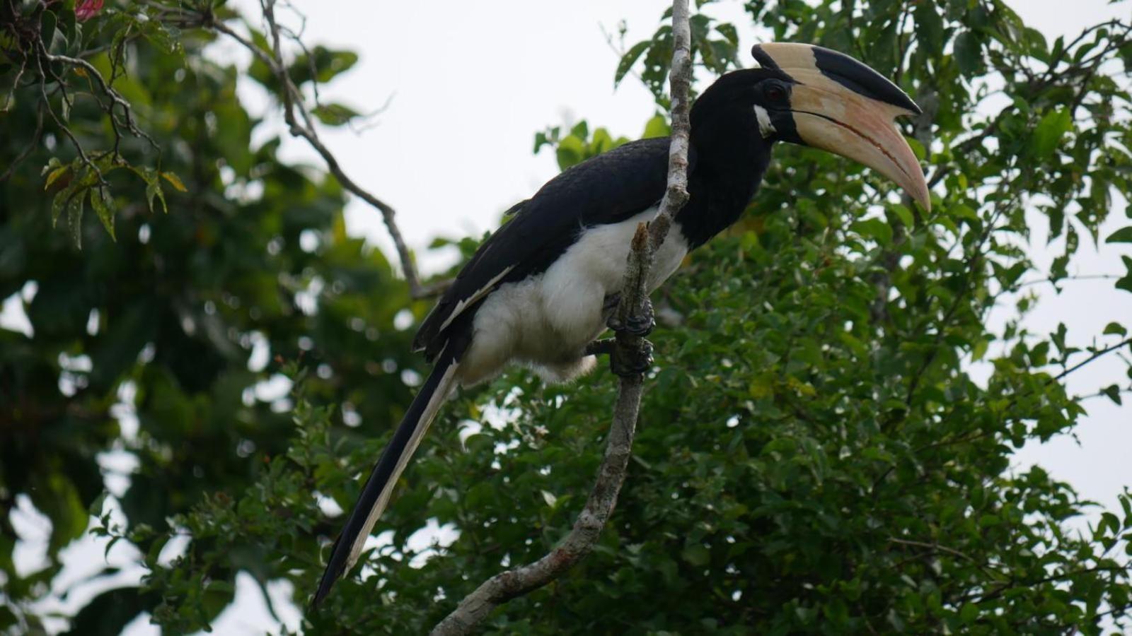 Suduweli Beauties Of Nature - Yala Kirinda  Exterior photo