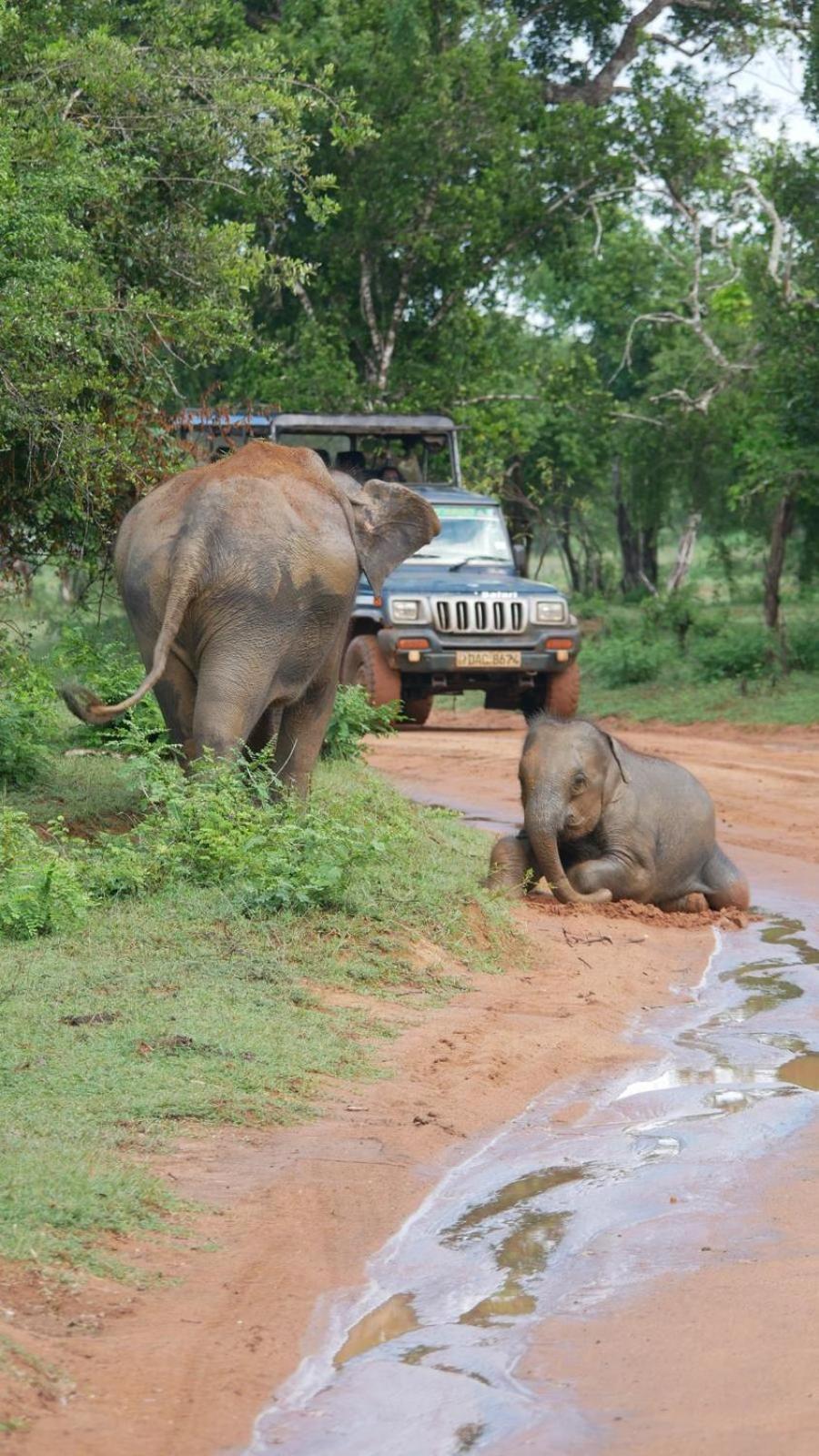 Suduweli Beauties Of Nature - Yala Kirinda  Exterior photo