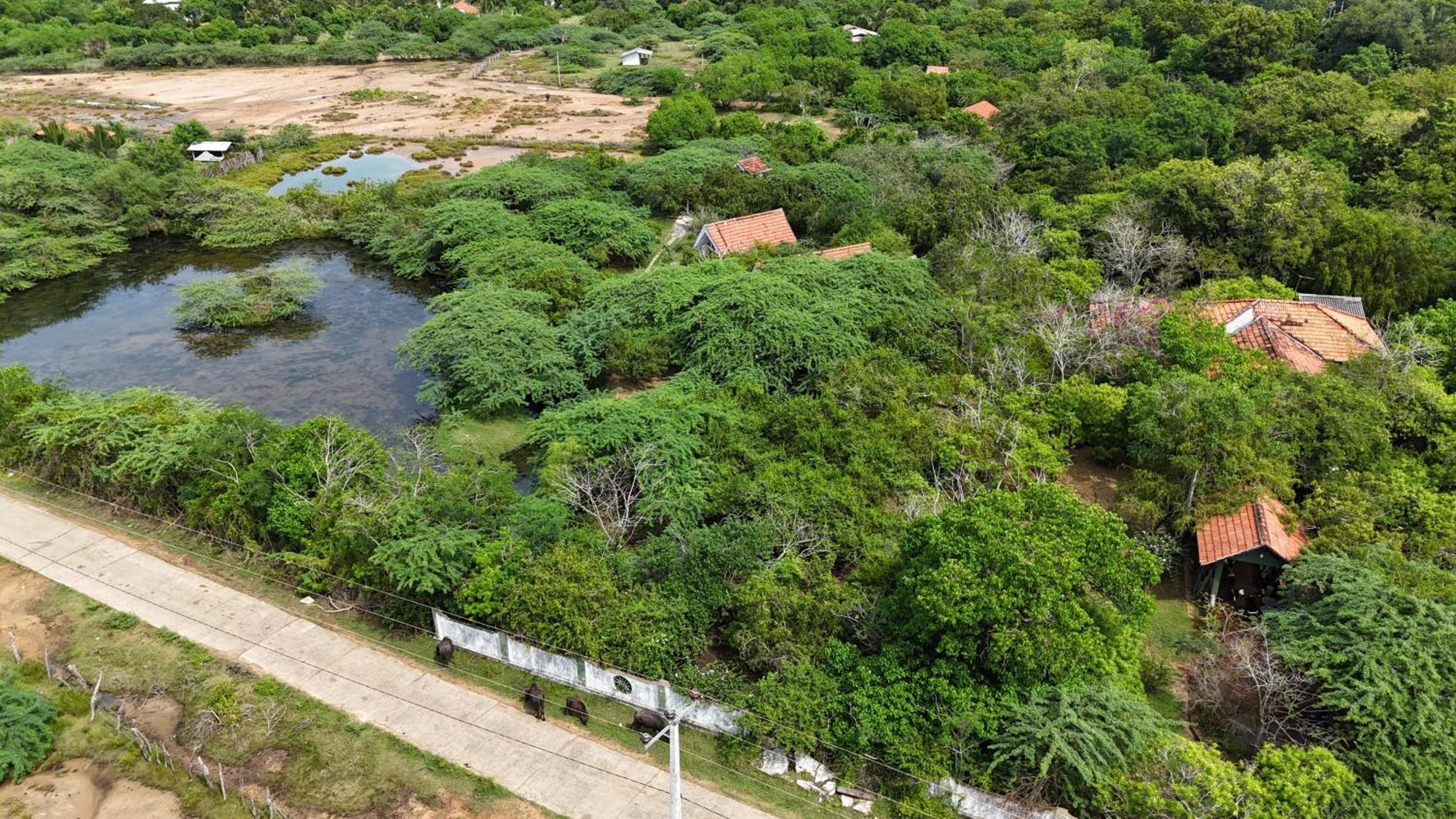 Suduweli Beauties Of Nature - Yala Kirinda  Exterior photo