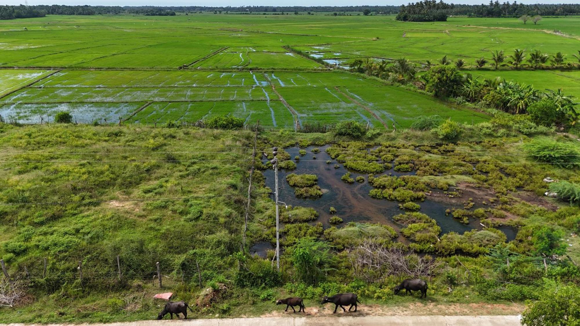 Suduweli Beauties Of Nature - Yala Kirinda  Exterior photo