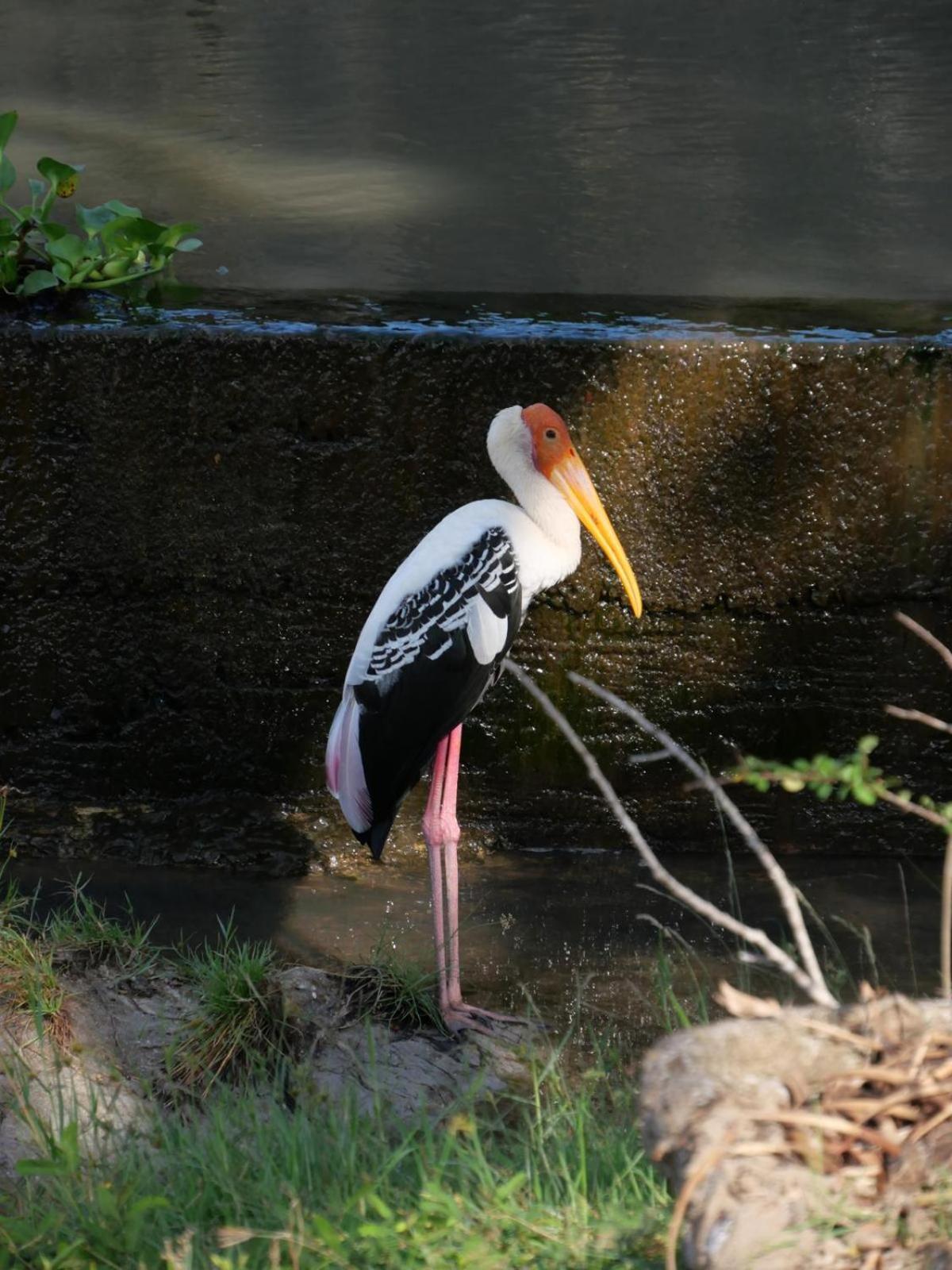 Suduweli Beauties Of Nature - Yala Kirinda  Exterior photo