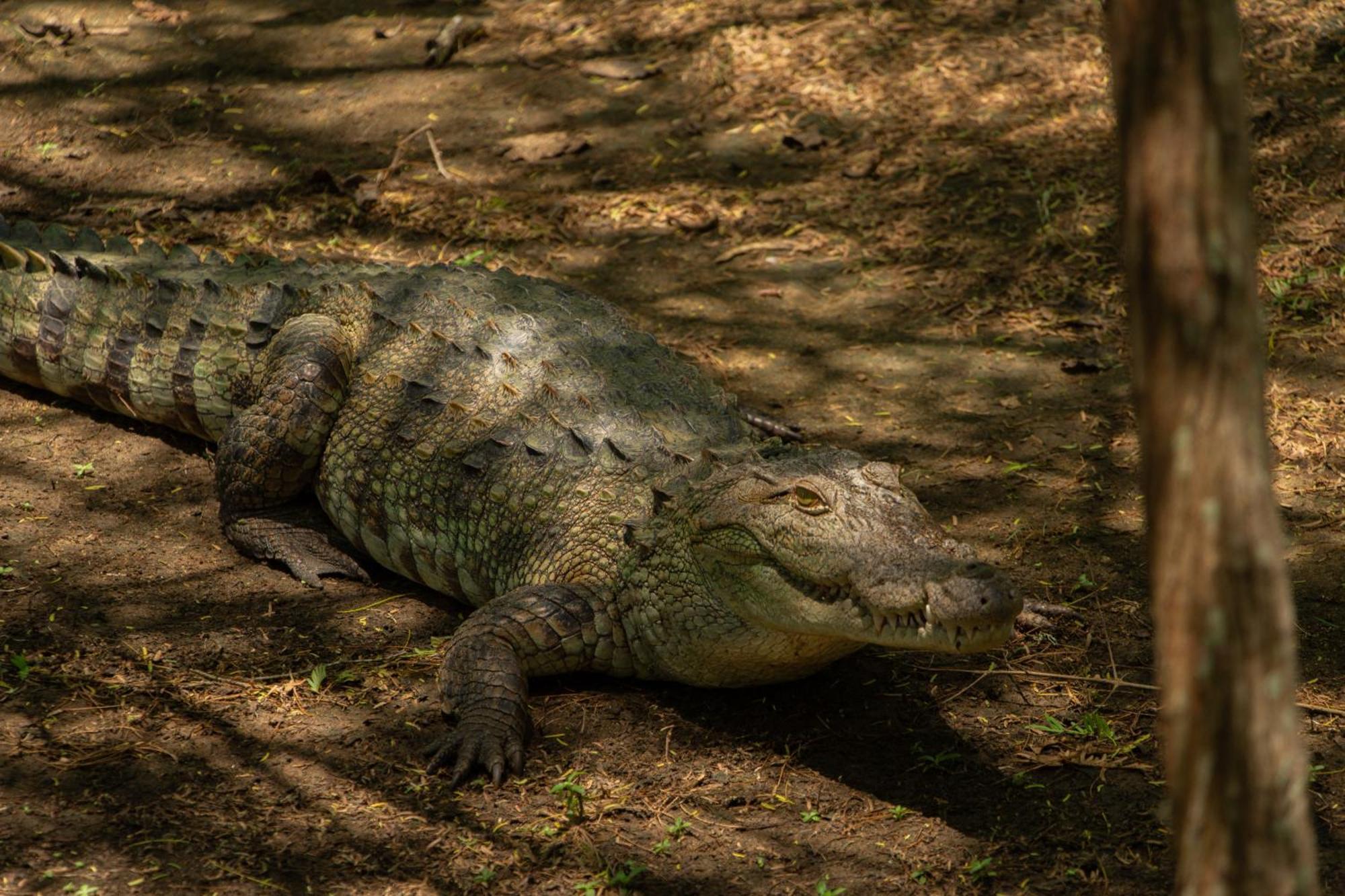 Suduweli Beauties Of Nature - Yala Kirinda  Exterior photo