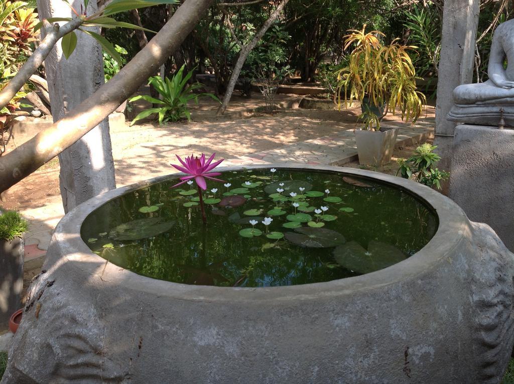 Suduweli Beauties Of Nature - Yala Kirinda  Exterior photo