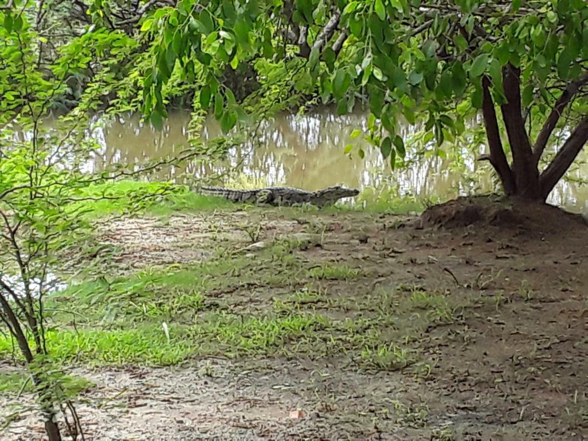 Suduweli Beauties Of Nature - Yala Kirinda  Exterior photo