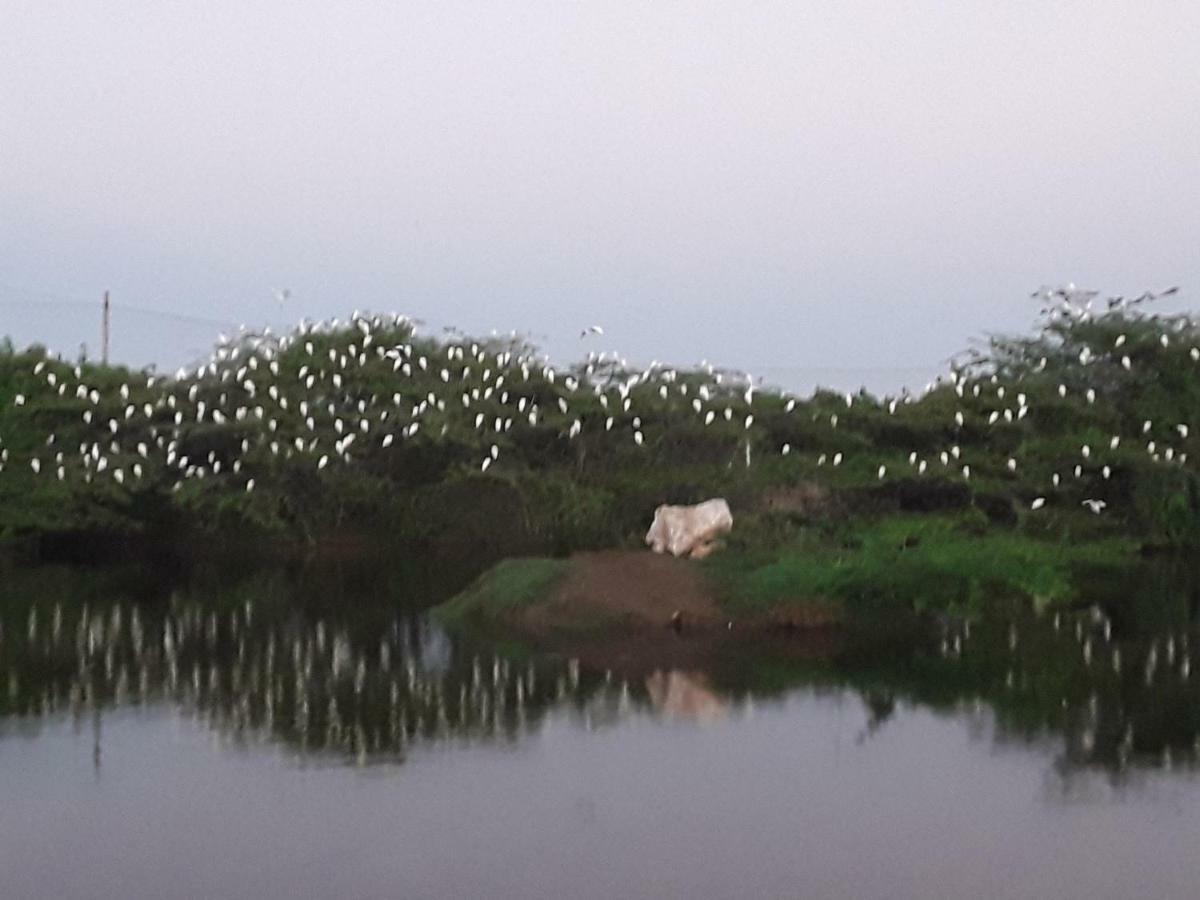 Suduweli Beauties Of Nature - Yala Kirinda  Exterior photo
