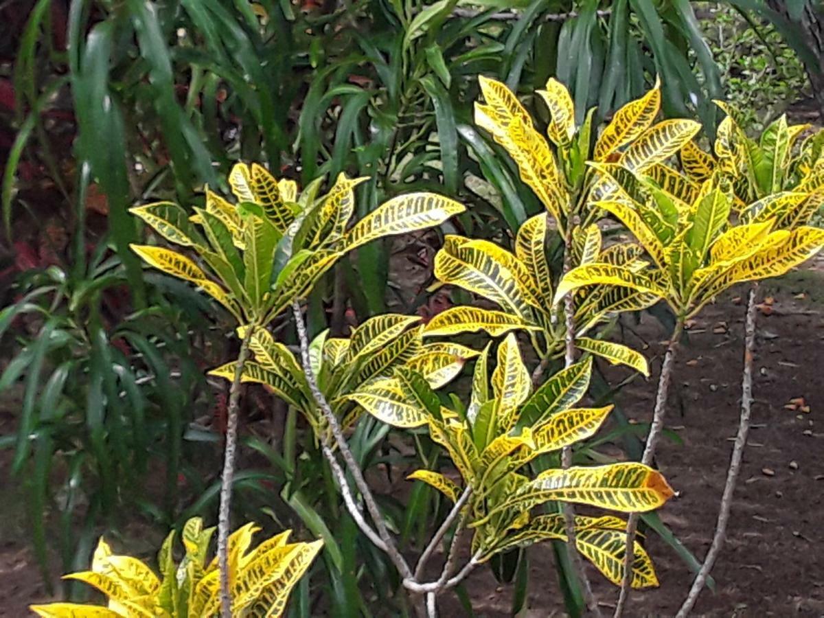 Suduweli Beauties Of Nature - Yala Kirinda  Exterior photo